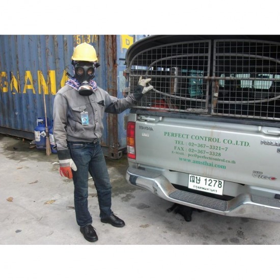 รับรมยาเพื่อกำจัดแมลงศัตรูพืช