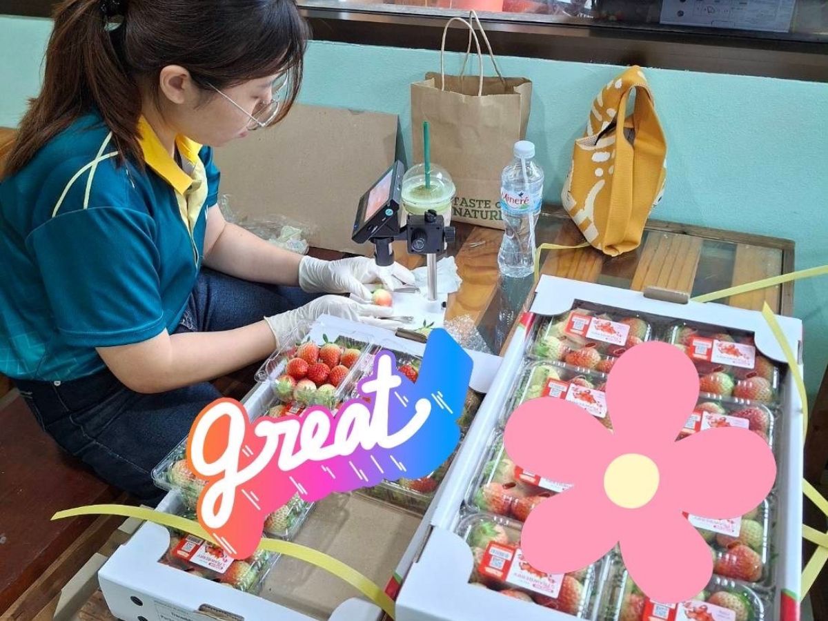 รมยาพืชสดส่งออก